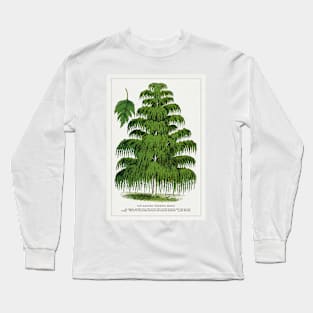 Weeping Birch Tree lithograph (1900) Long Sleeve T-Shirt